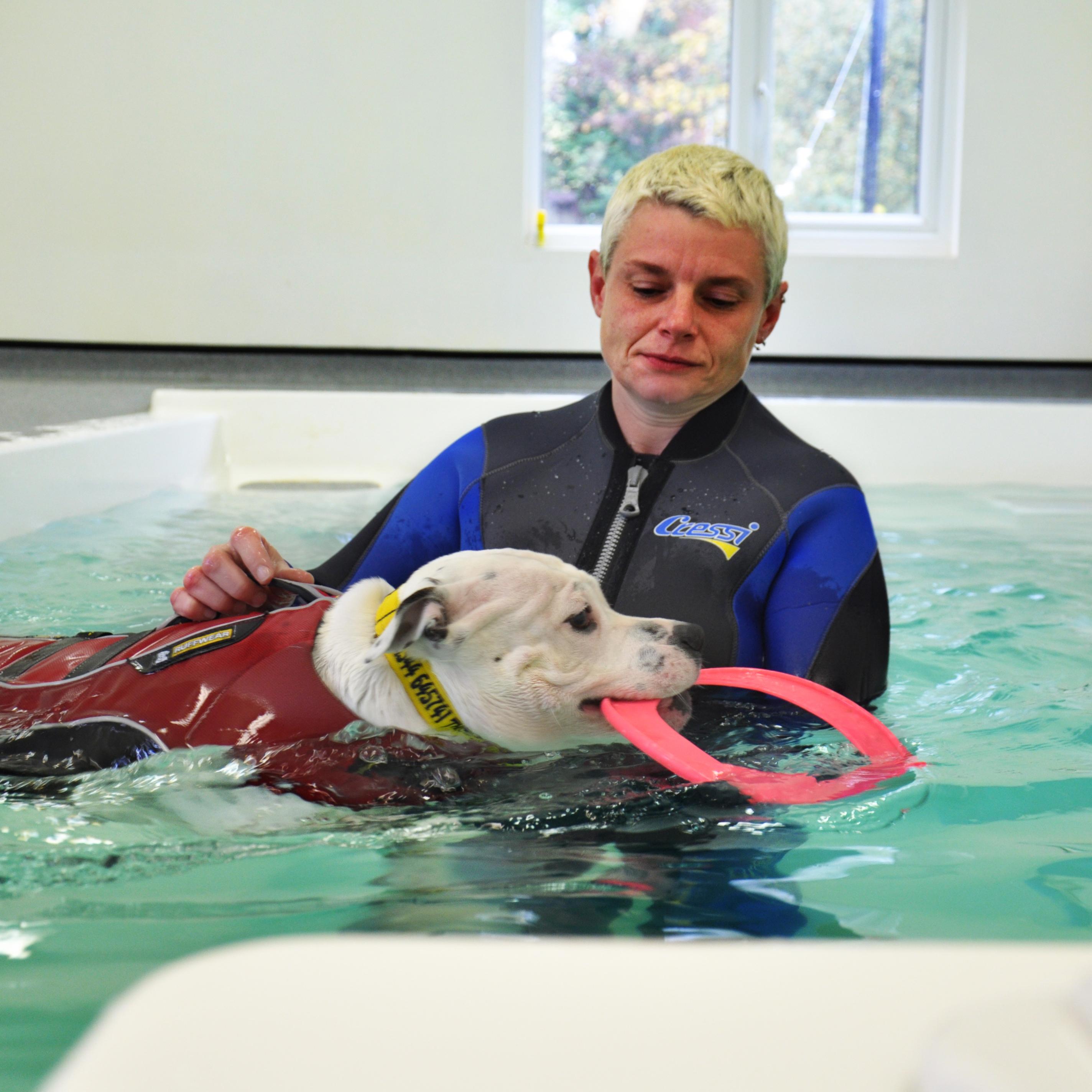 treatment2 hydrotherapy image
