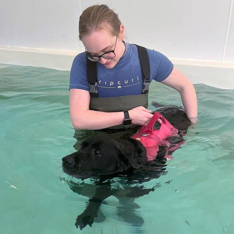 Hip and Elbow Dysplasia Therapaws Hydrotherapy