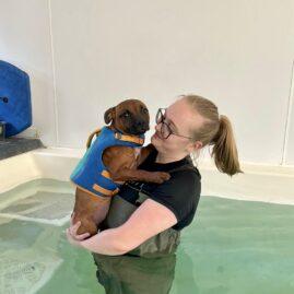 Copy of Puppy Swims 3 hydrotherapy image