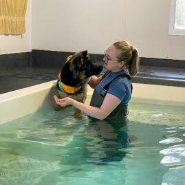 IMG 2350 hydrotherapy image