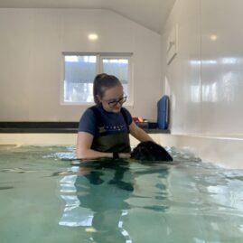 IMG 2497 hydrotherapy image