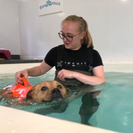 Therapaws J23 18 hydrotherapy image